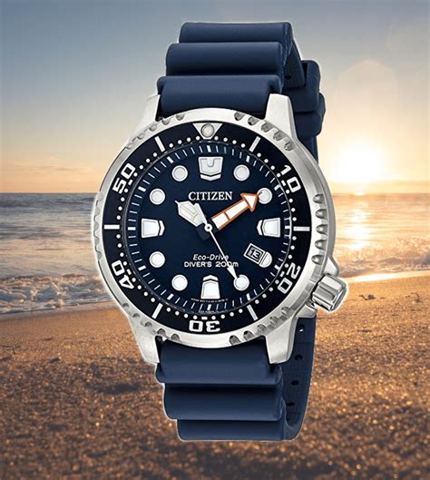 citizen diver watches for men